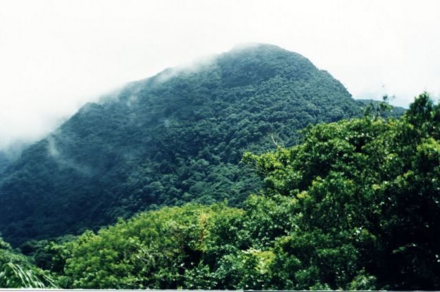 graciosa_2001_30_jpg