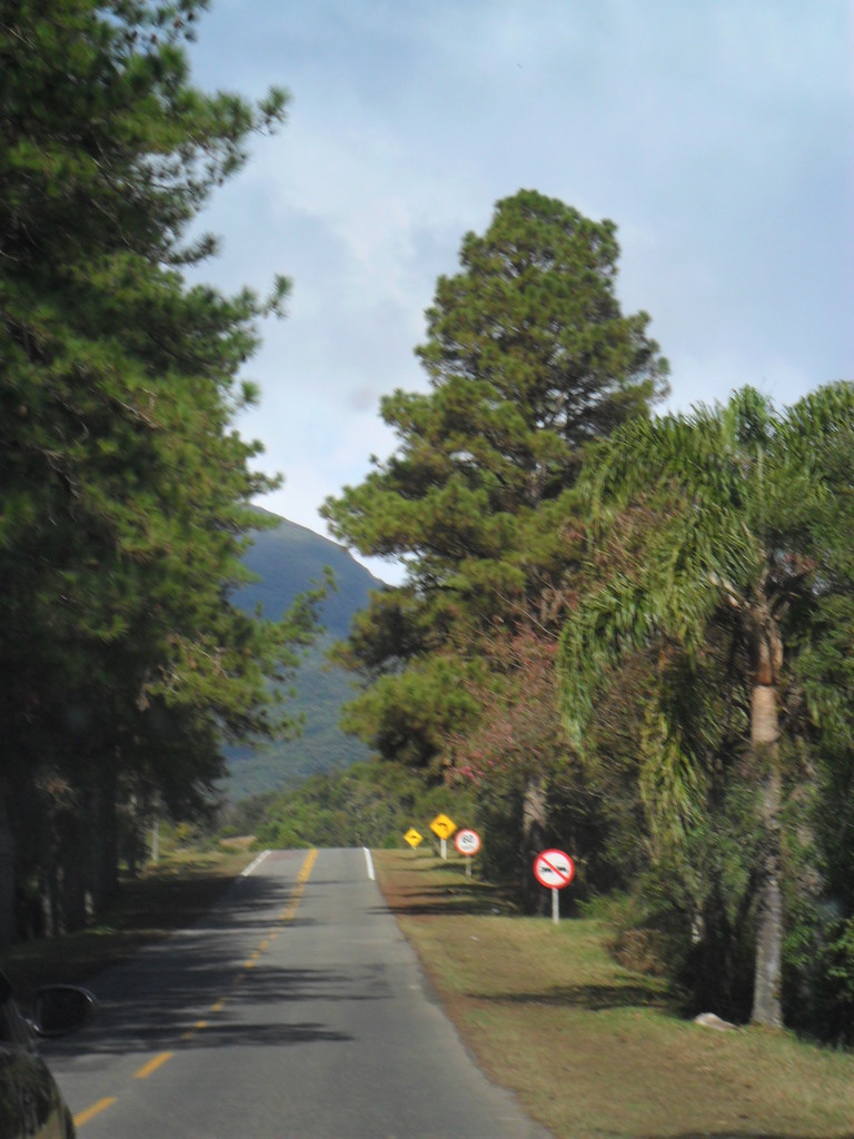 1_SAM_2317