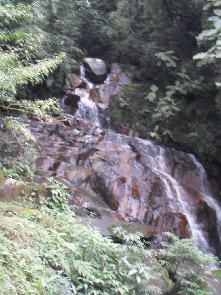 SAM_2363