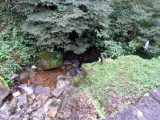 sam_0962